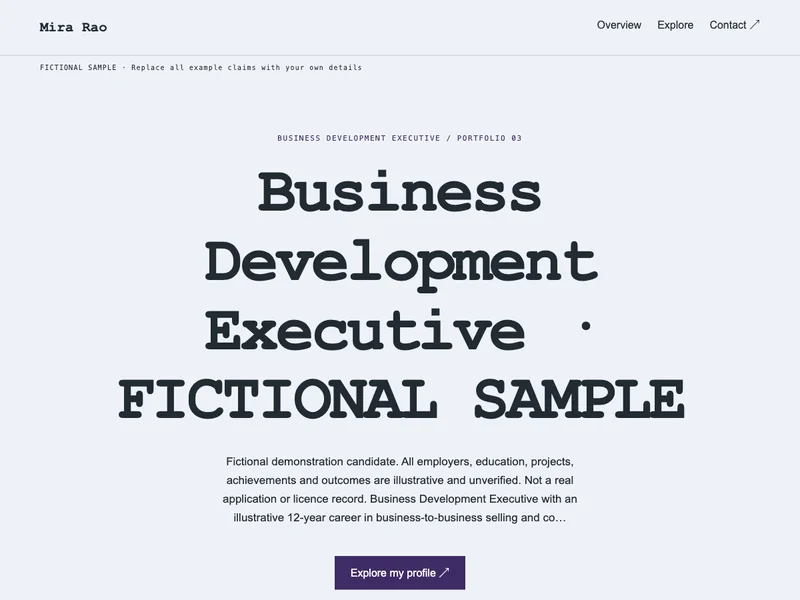Business Development Executive web portfolio preview