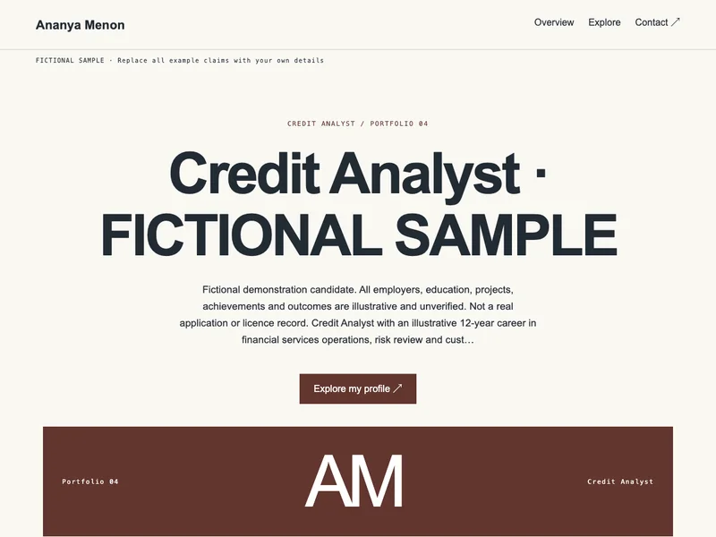 Credit Analyst web portfolio preview