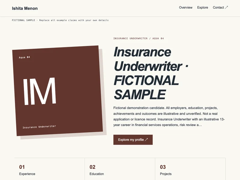 Insurance Underwriter web portfolio preview