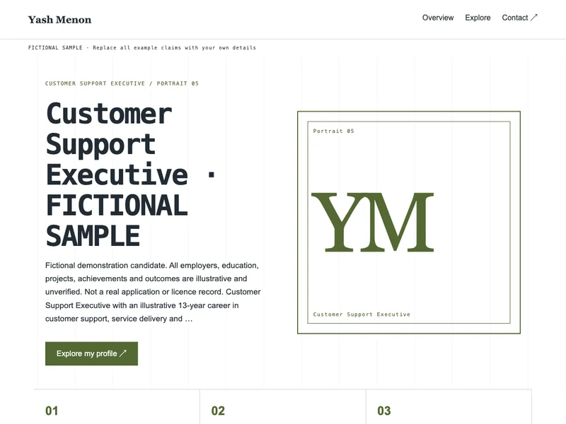 Customer Support Executive web portfolio preview